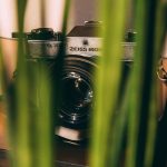 Memahami Prosedur Visa Lingga bagi Pemohon Pertama Kali